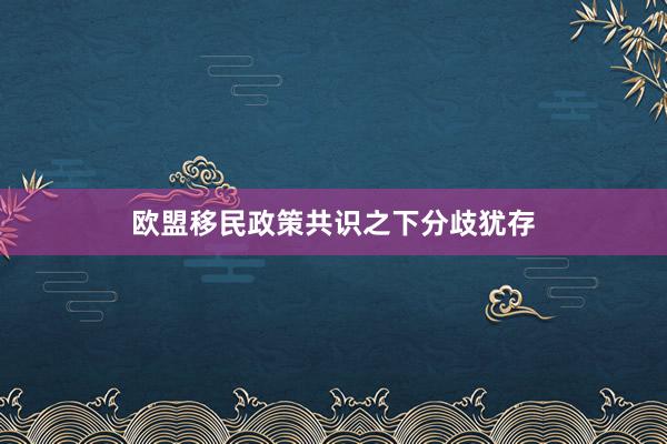 欧盟移民政策共识之下分歧犹存