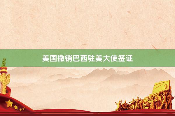 美国撤销巴西驻美大使签证