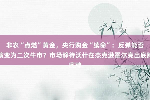 非农“点燃”黄金，央行购金“续命”：反弹能否演变为二次牛市？市场静待沃什在杰克逊霍尔亮出底牌