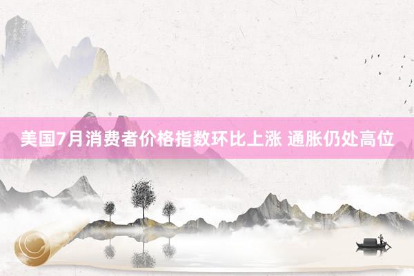 美国7月消费者价格指数环比上涨 通胀仍处高位