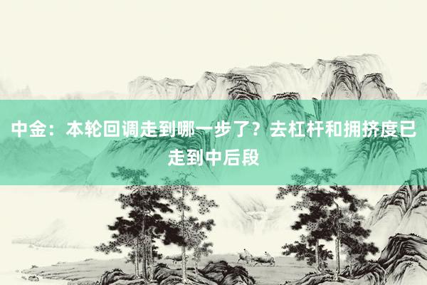 中金：本轮回调走到哪一步了？去杠杆和拥挤度已走到中后段
