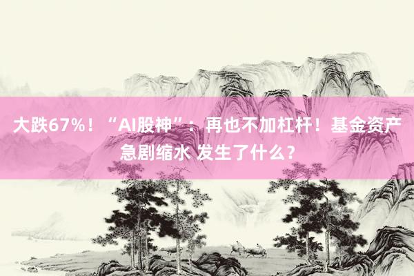 大跌67%！“AI股神”：再也不加杠杆！基金资产急剧缩水 发生了什么？