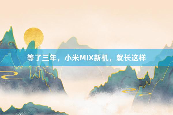 等了三年，小米MIX新机，就长这样
