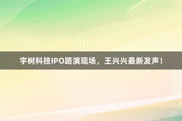 宇树科技IPO路演现场，王兴兴最新发声！