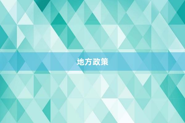 地方政策