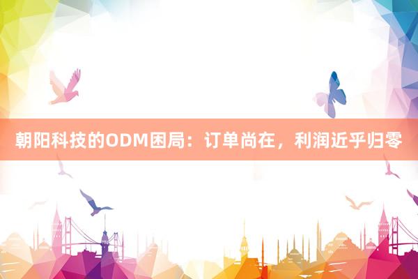 朝阳科技的ODM困局：订单尚在，利润近乎归零