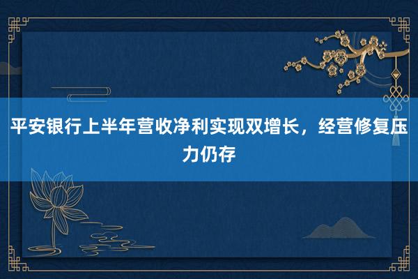 平安银行上半年营收净利实现双增长，经营修复压力仍存