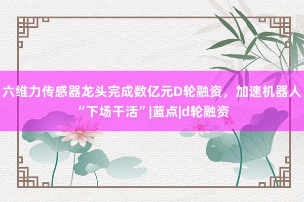 六维力传感器龙头完成数亿元D轮融资，加速机器人“下场干活”|蓝点|d轮融资
