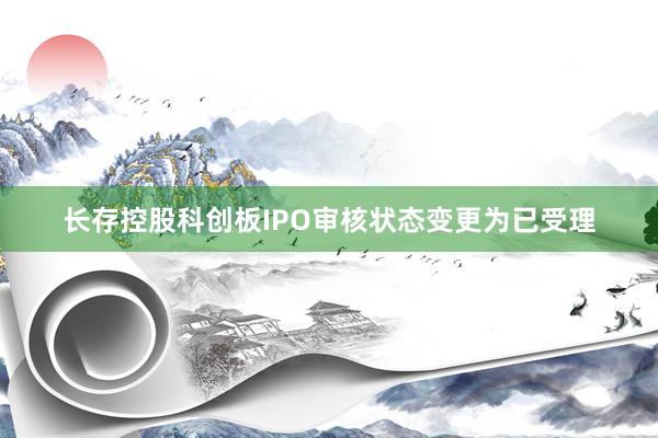 长存控股科创板IPO审核状态变更为已受理