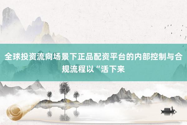 全球投资流向场景下正品配资平台的内部控制与合规流程以“活下来