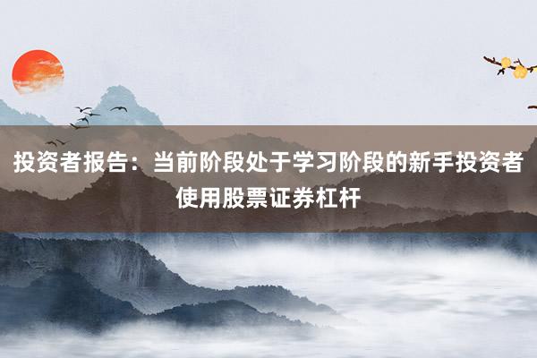 投资者报告：当前阶段处于学习阶段的新手投资者使用股票证券杠杆