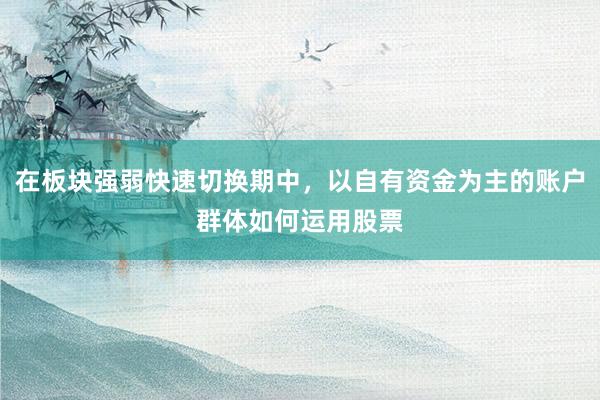 在板块强弱快速切换期中，以自有资金为主的账户群体如何运用股票