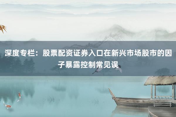 深度专栏：股票配资证券入口在新兴市场股市的因子暴露控制常见误