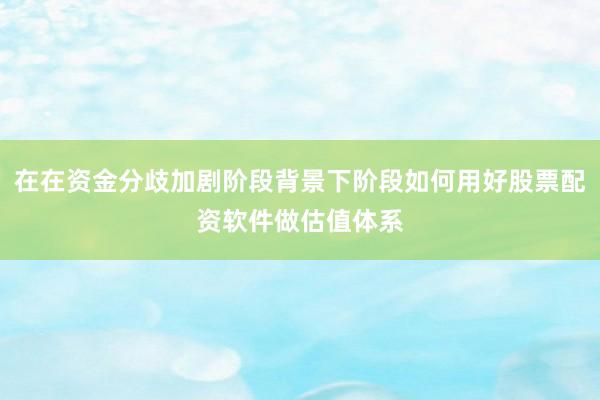 在在资金分歧加剧阶段背景下阶段如何用好股票配资软件做估值体系