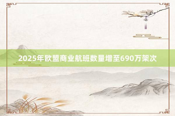 2025年欧盟商业航班数量增至690万架次