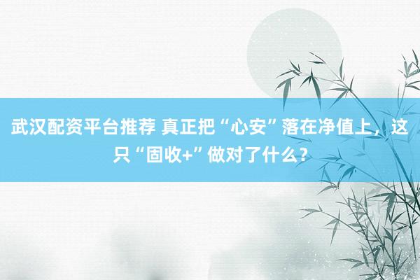 武汉配资平台推荐 真正把“心安”落在净值上，这只“固收+”做对了什么？