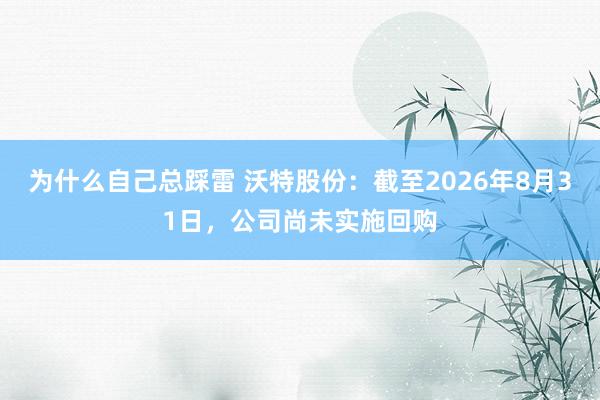 为什么自己总踩雷 沃特股份：截至2026年8月31日，公司尚未实施回购