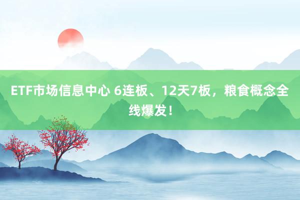 ETF市场信息中心 6连板、12天7板，粮食概念全线爆发！