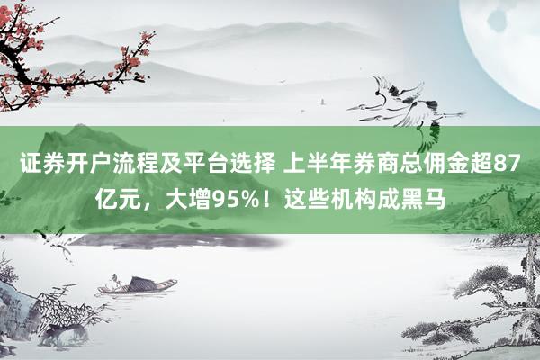 证券开户流程及平台选择 上半年券商总佣金超87亿元，大增95%！这些机构成黑马