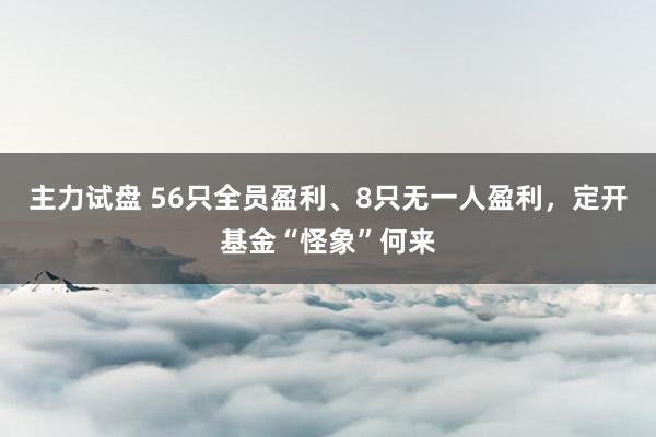 主力试盘 56只全员盈利、8只无一人盈利，定开基金“怪象”何来