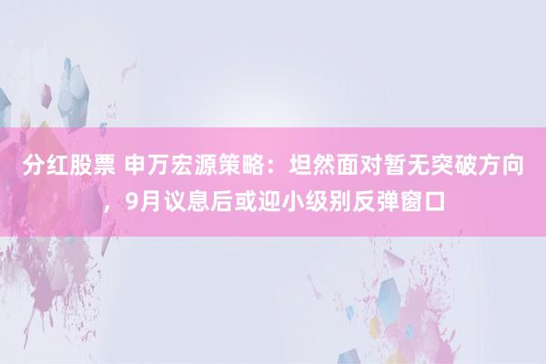 分红股票 申万宏源策略：坦然面对暂无突破方向，9月议息后或迎小级别反弹窗口