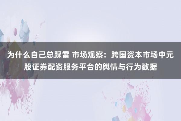 为什么自己总踩雷 市场观察：跨国资本市场中元股证券配资服务平台的舆情与行为数据