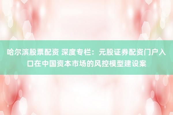 哈尔滨股票配资 深度专栏：元股证券配资门户入口在中国资本市场的风控模型建设案