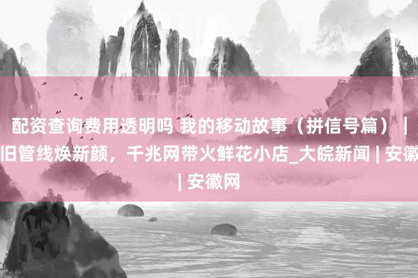 配资查询费用透明吗 我的移动故事（拼信号篇）｜老旧管线焕新颜，千兆网带火鲜花小店_大皖新闻 | 安徽网