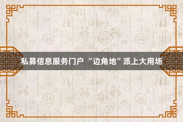 私募信息服务门户 “边角地”派上大用场