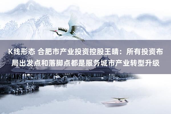 K线形态 合肥市产业投资控股王晴：所有投资布局出发点和落脚点都是服务城市产业转型升级